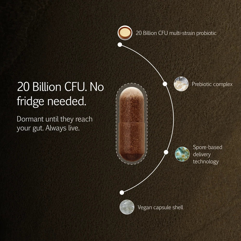 PREBIOTIC + PROBIOTIC